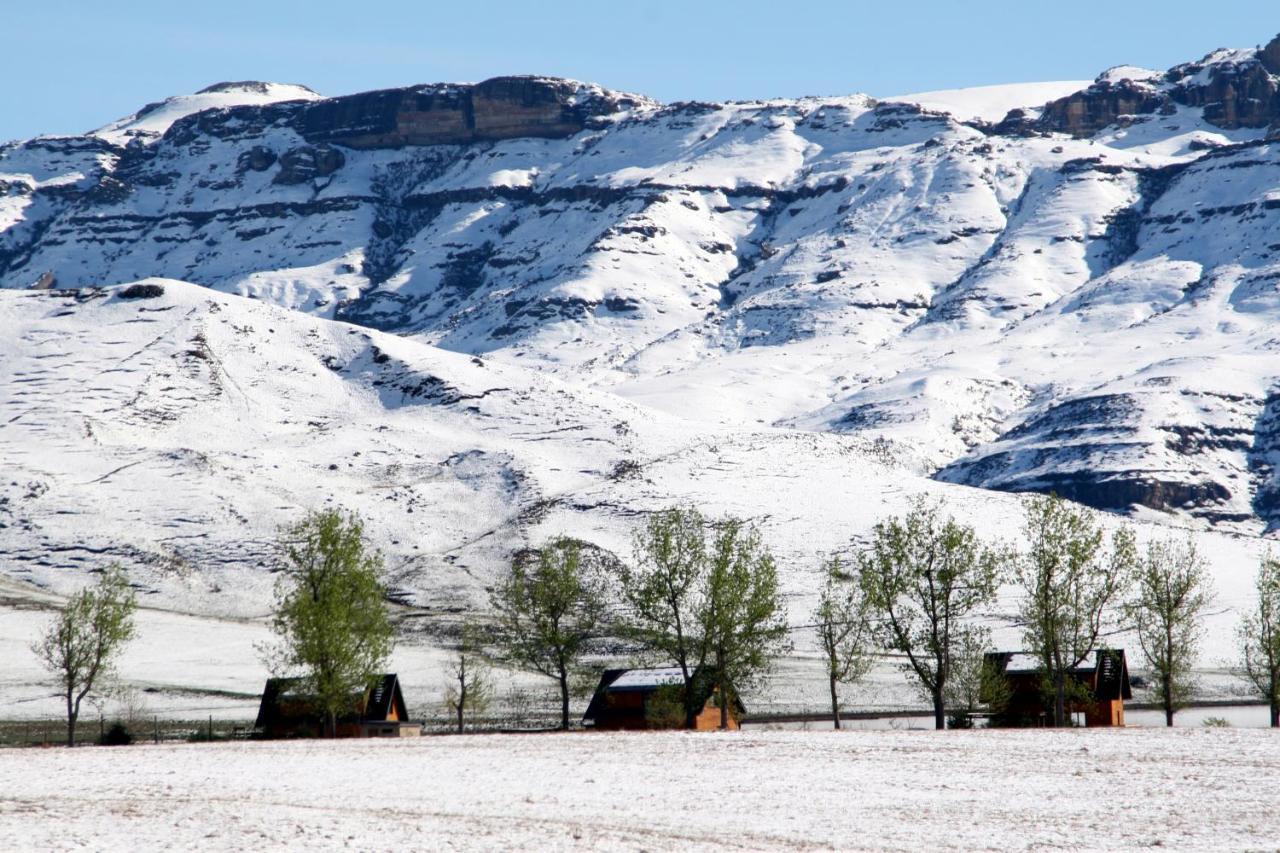 Sani Valley Nature Lodges Himeville Exteriör bild