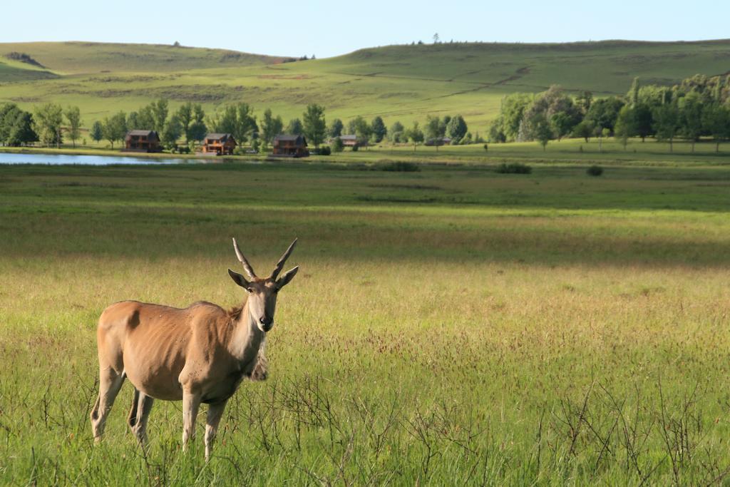 Sani Valley Nature Lodges Himeville Exteriör bild